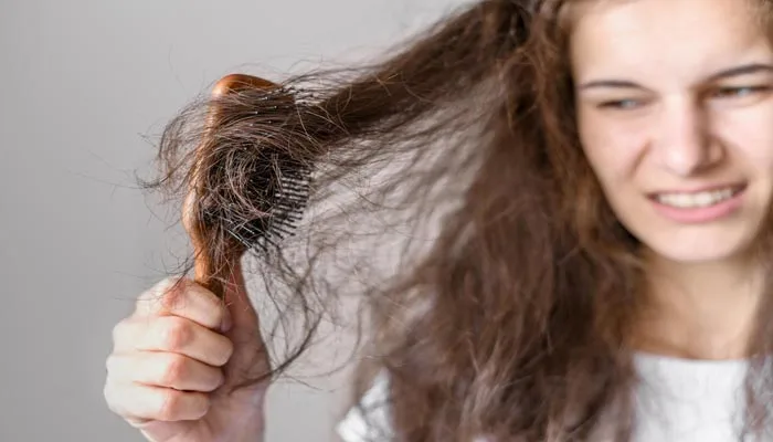 Hair Fall Reason: बालों का झड़ना रोकें: प्राकृतिक उपायों से बालों को दोबारा उगाने के लिए सबसे अच्छे तरीके how to stop hair fall, hair loss, Hair Fall Reason: बालों का झड़ना रोकें: प्राकृतिक उपायों से बालों को दोबारा उगाने के लिए सबसे अच्छे तरीके
