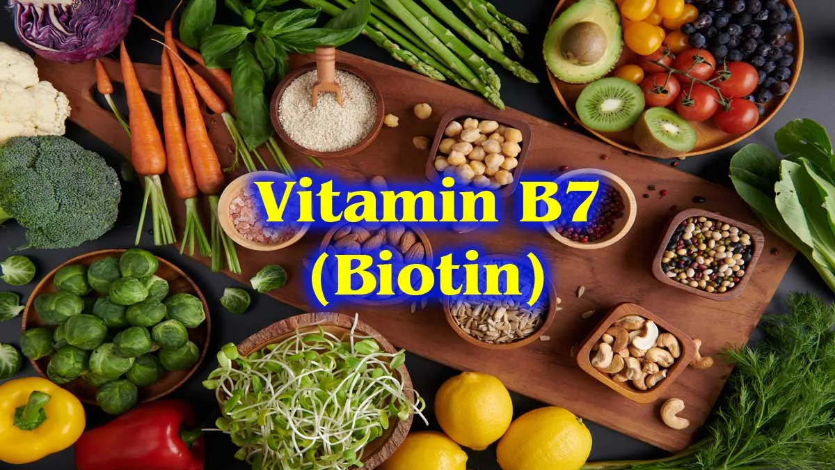 Vitamin B7 (Biotin): क्या है? महत्वपूर्ण, स्रोत Vitamin b7 (Biotin): क्या है? महत्वपूर्ण, स्रोत