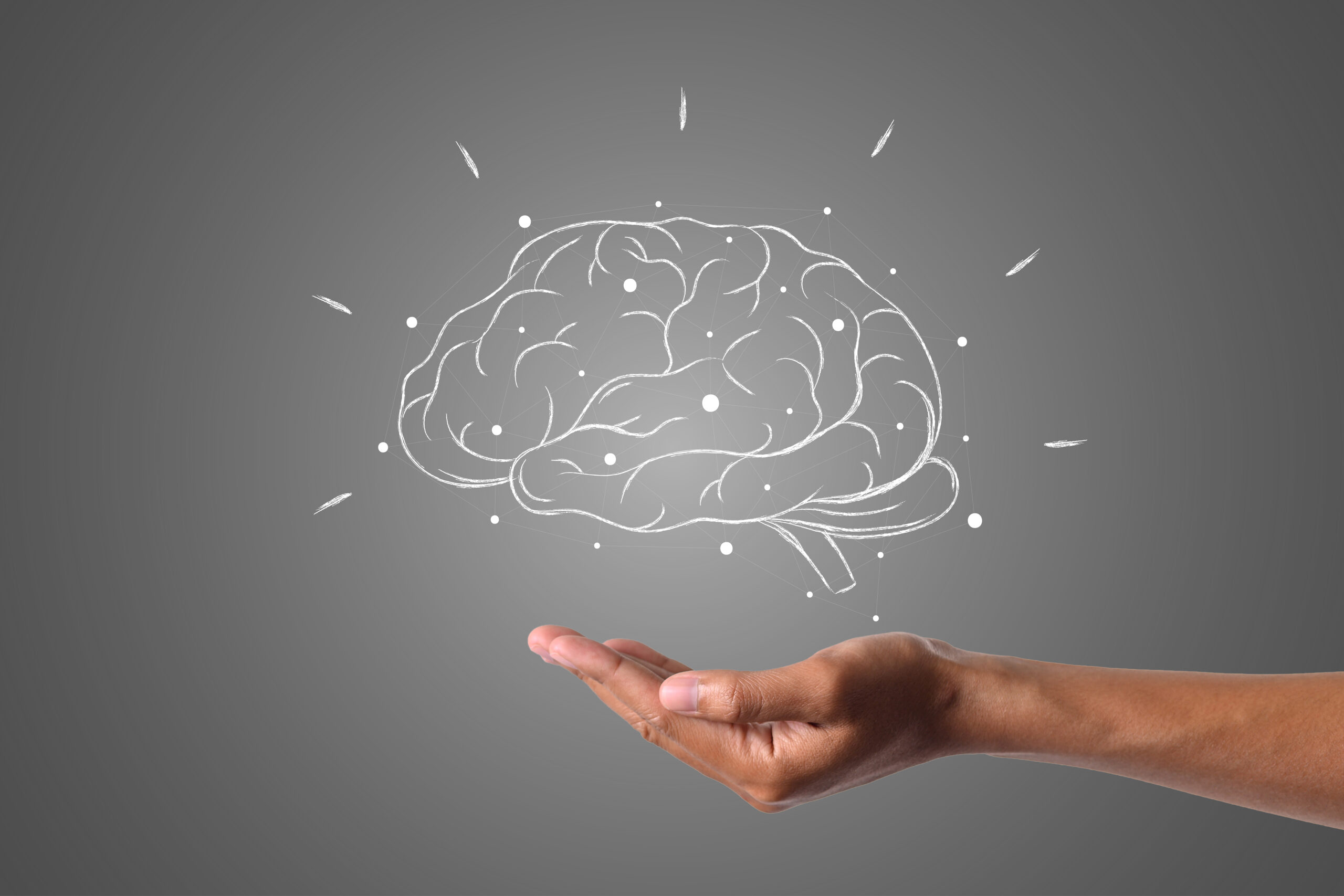 मानव मस्तिष्क कैसे काम करता है? पूरी जानकारी How does the human brain work